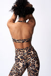 Leo Halter